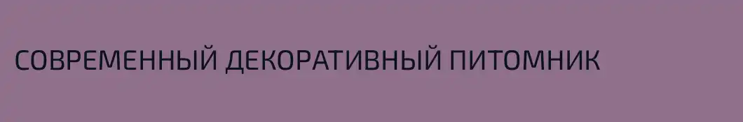 СОВРЕМЕННЫЙ ДЕКОРАТИВНЫЙ ПИТОМНИК